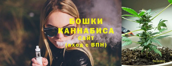 стаф Мегион