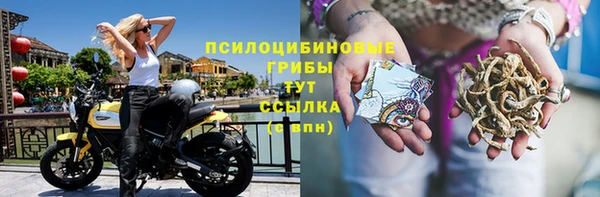 соль ск Медвежьегорск