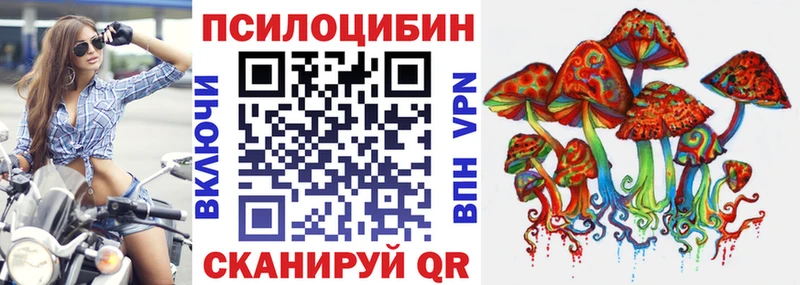 Купить закладки  Ардатов  Галлюциногенные грибы MAGIC MUSHROOMS 